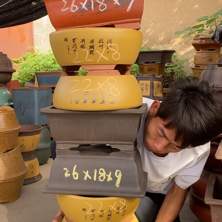 紫砂花盆这我就可以看到了这个节目