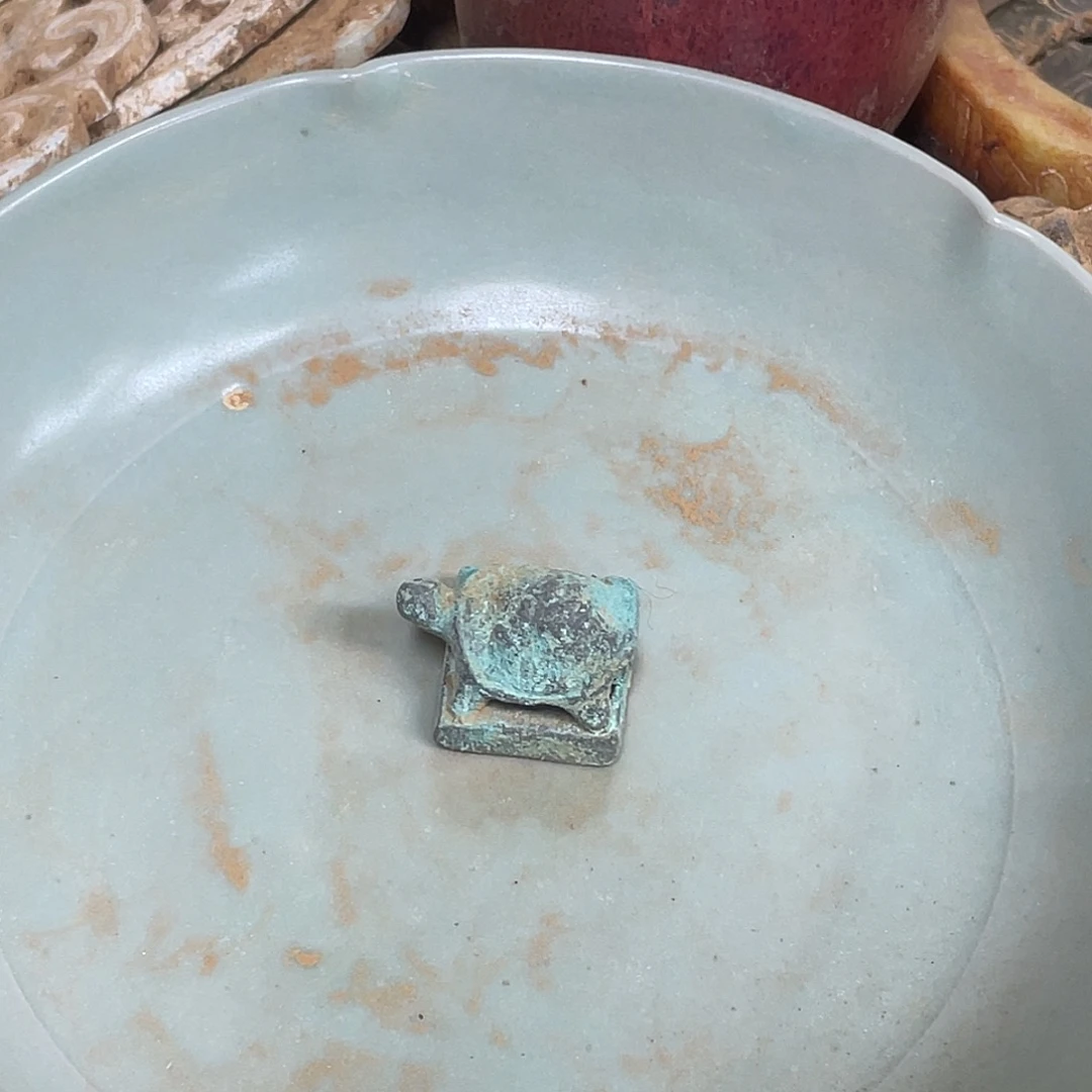 坎坎坷坷一路成长吧你最喜欢谁