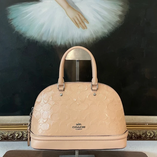 95新 COACH/蔻驰 coach蔻驰单肩包/008358/尺寸28*19