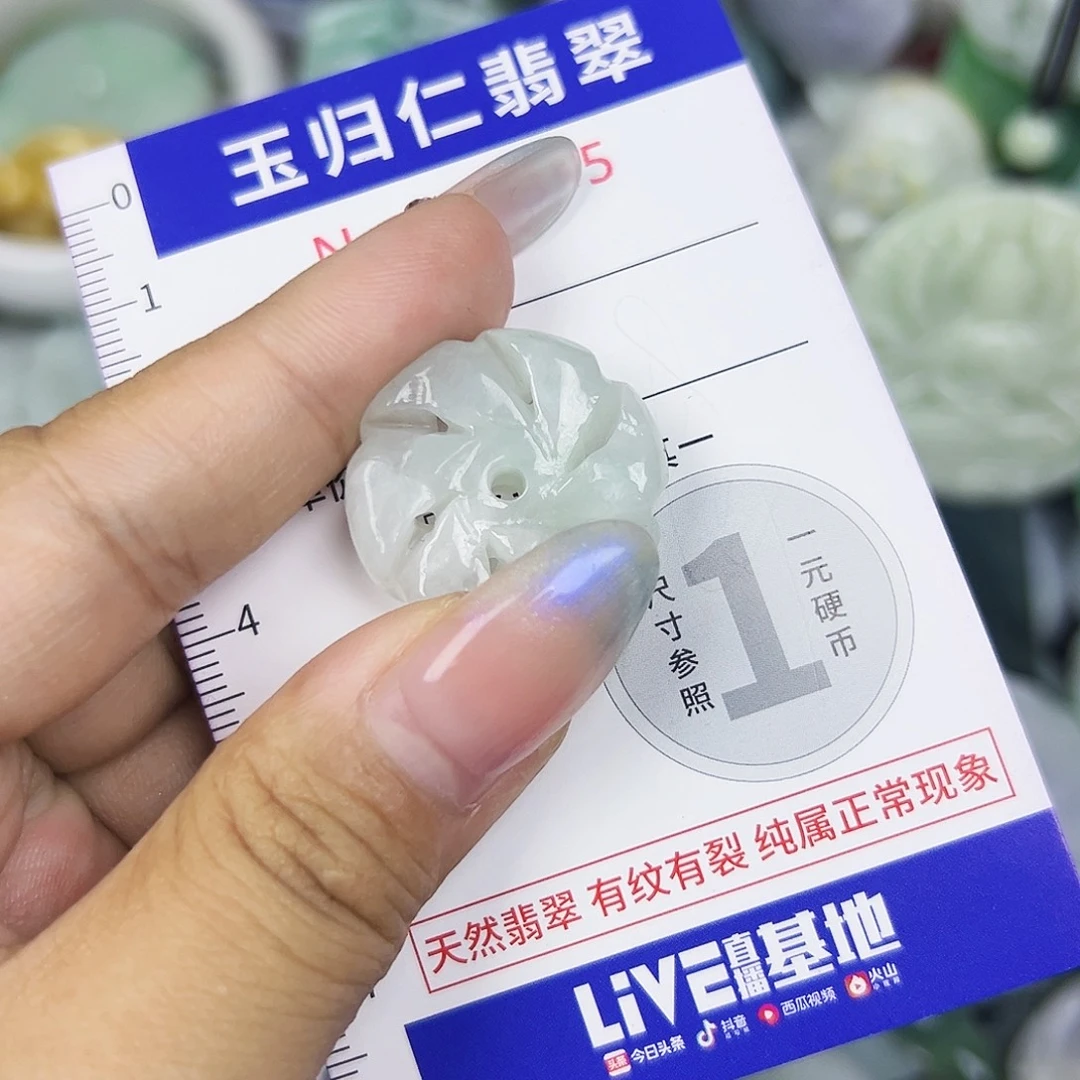 翡翠未镶嵌吊坠(不含链)111