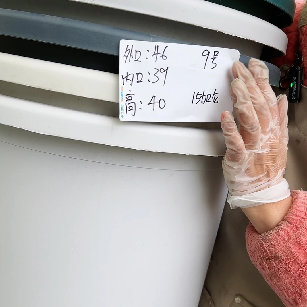 树脂四季9#白色4个无托