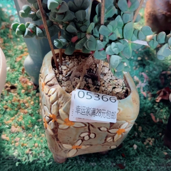 幸运的是我没有遇到过