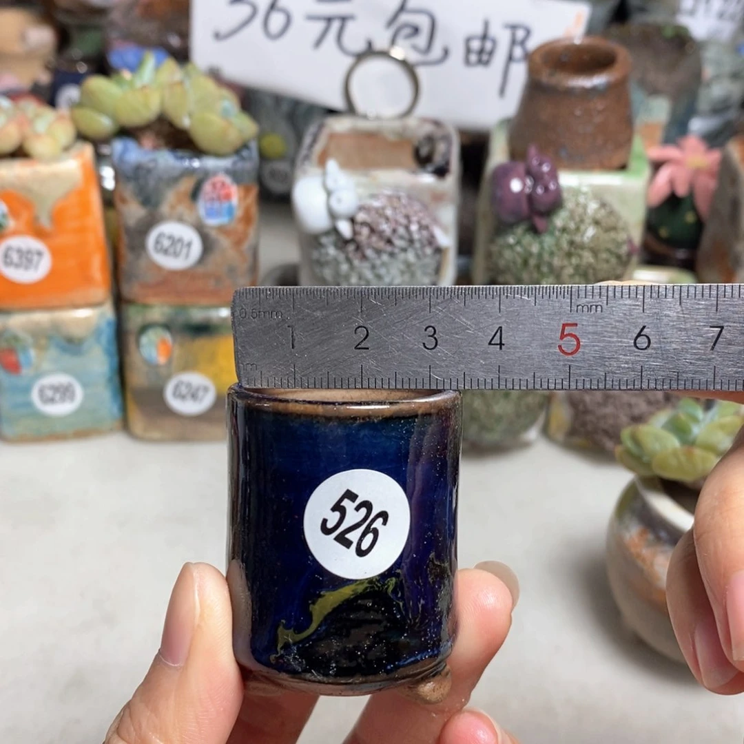 拍5送一个小礼物