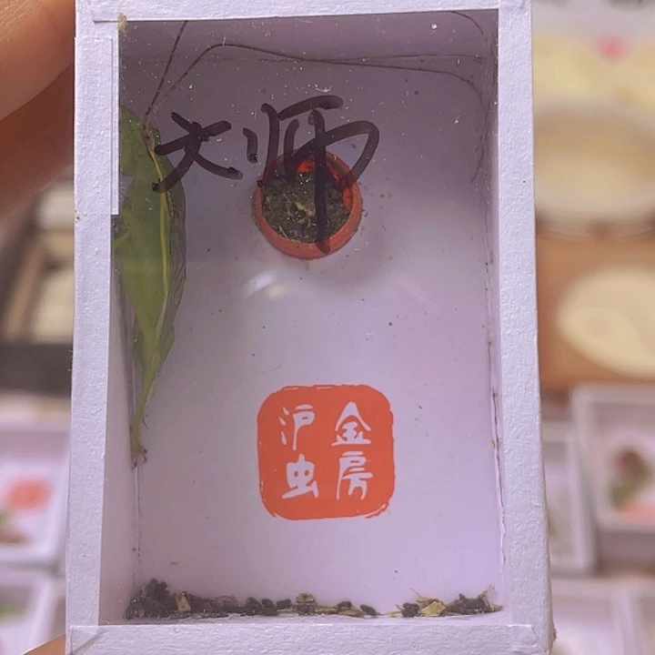 大***师精品橙杆啊啊啊啊啊