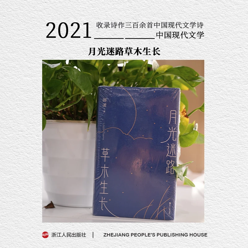 浙江人民出版社 月光迷路草木生长 收录诗作三百余首 文学