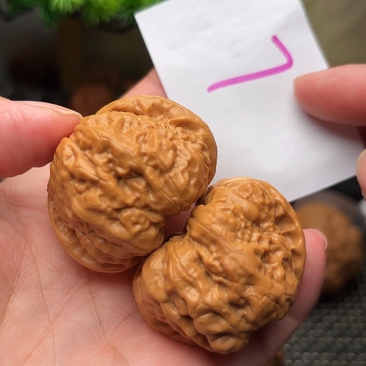 桃核把件核桃蛤蟆头