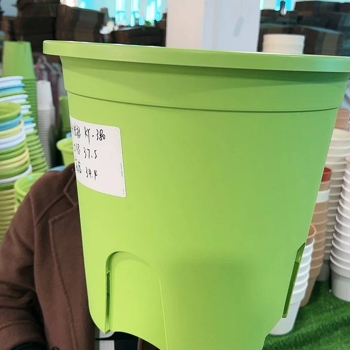 正品圆控口37.5高34果绿无托5只