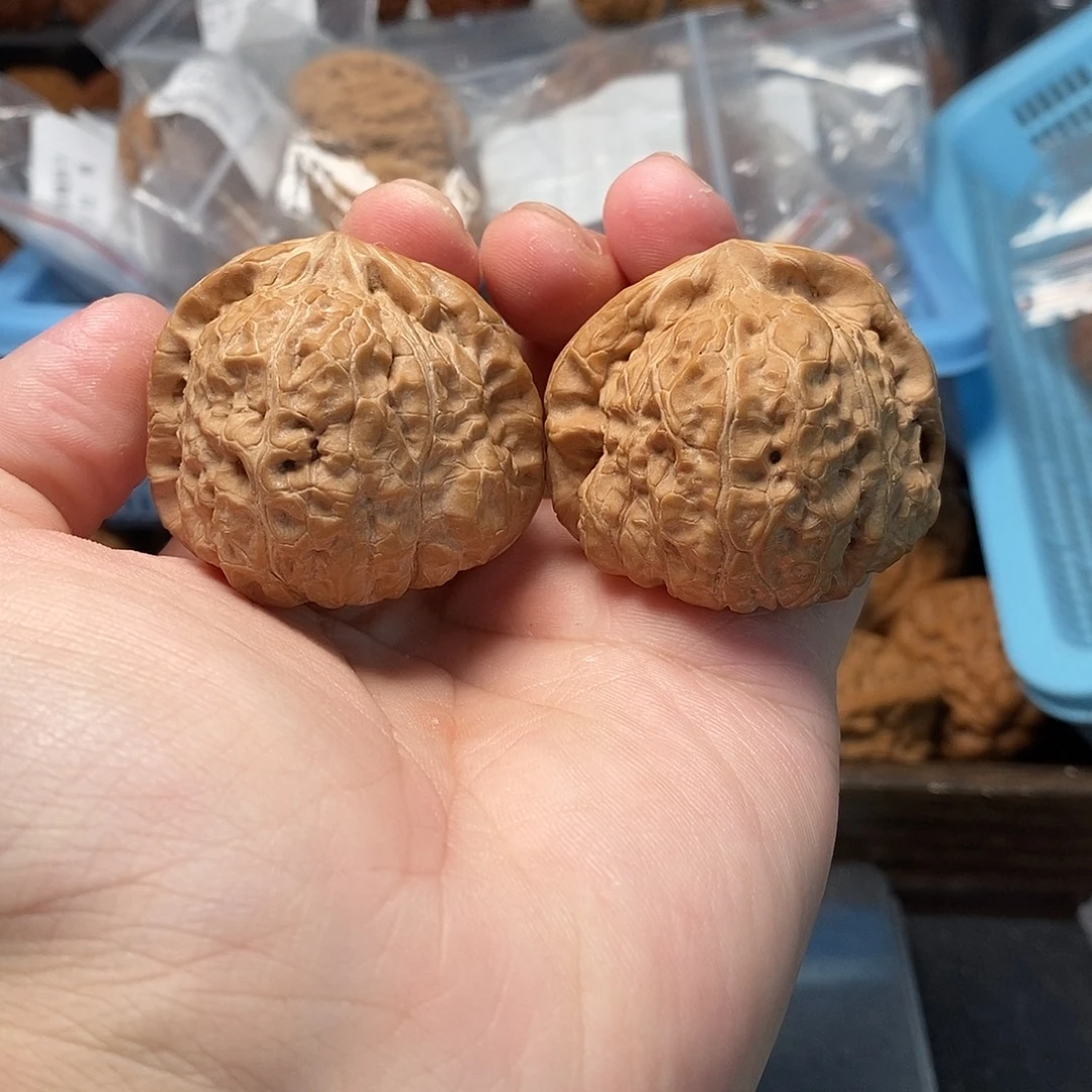 1文玩核桃蓟县南瓜43-179