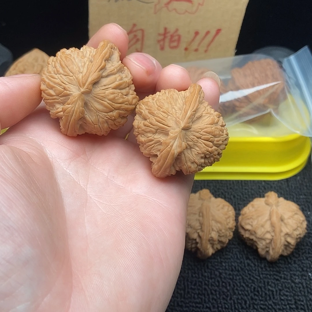 核桃文玩核桃把件白狮子42