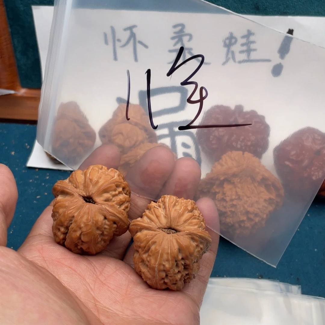 核桃576735753375375357375