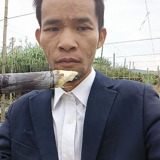 黑皮甘蔗5斤箱装黑皮甘蔗