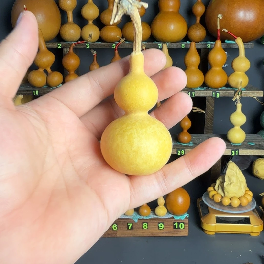 葫芦葫芦葫芦葫芦葫芦葫芦