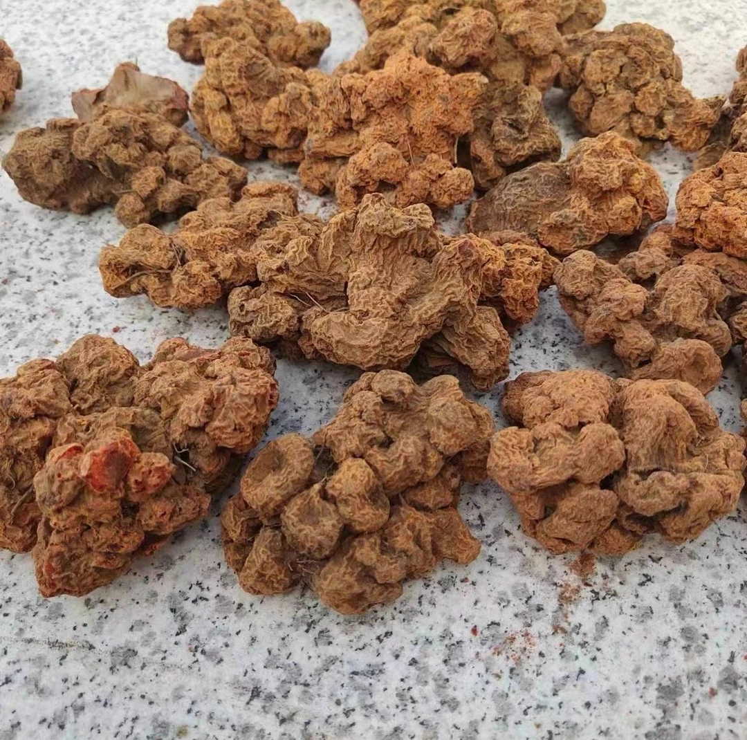 现收土特产 血-菩-提 250-500克 食用农产品