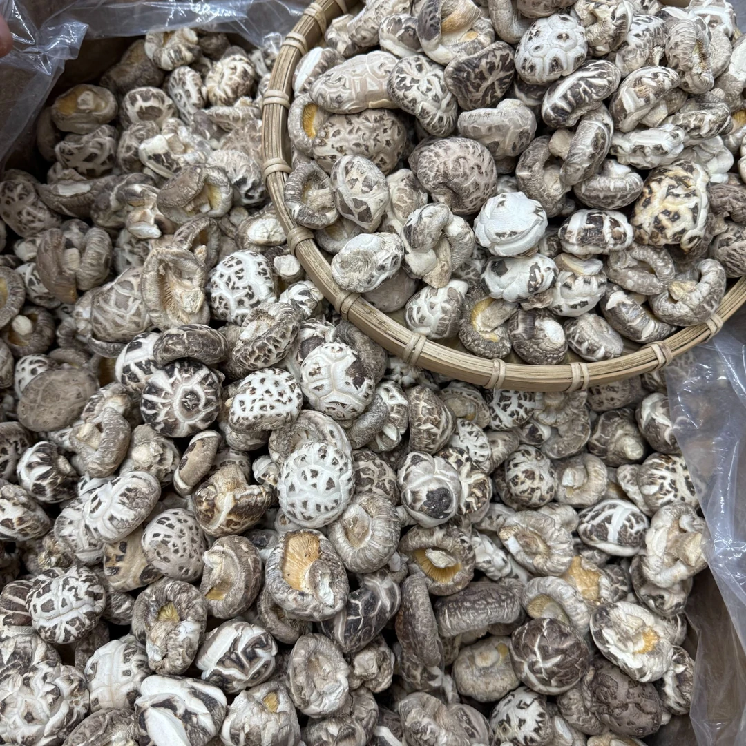 【花菇】厚肉脆口干货椴木白花菇蘑菇香味浓郁爽滑焖鸡焖排骨