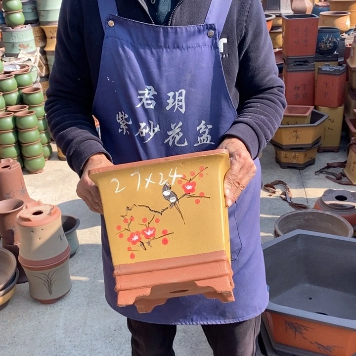 紫砂紫砂紫砂紫砂