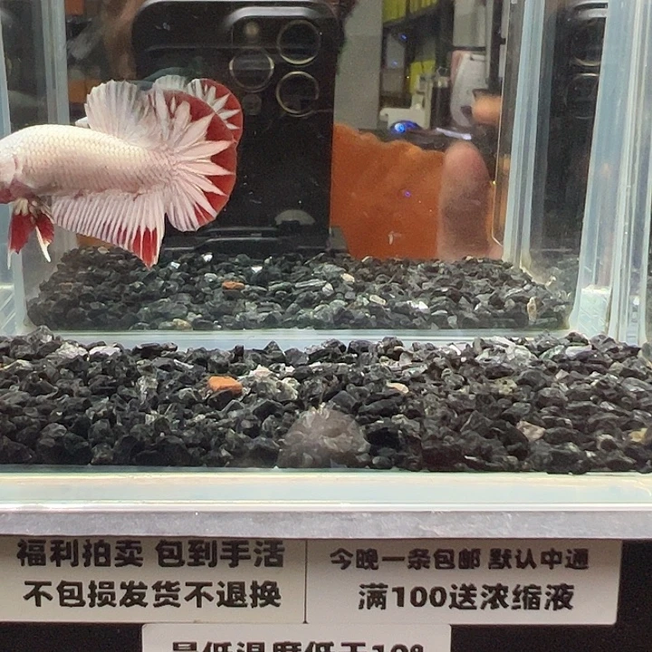 斗鱼跑单拉黑24日26