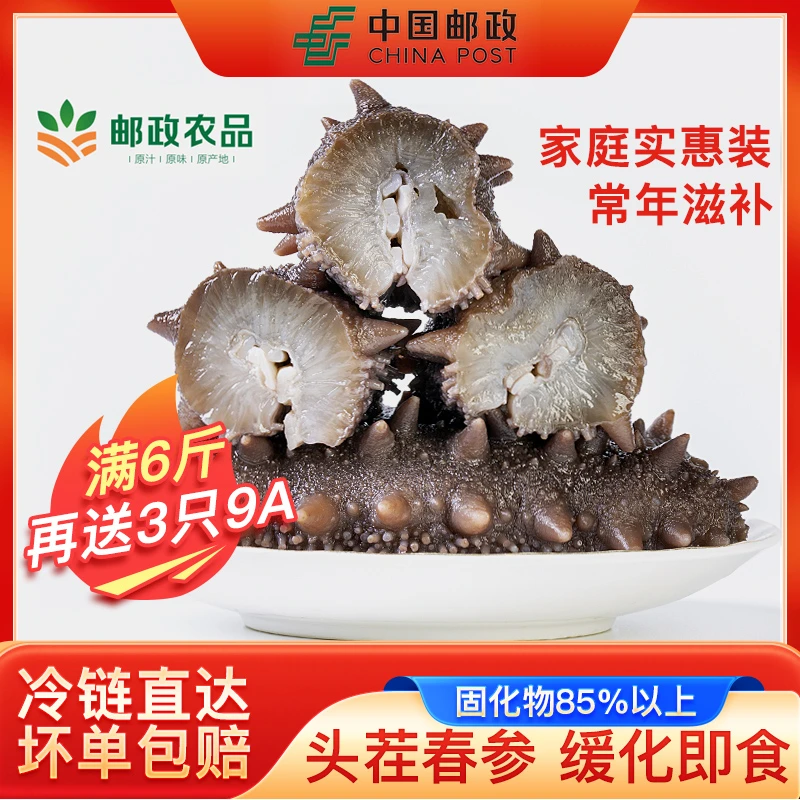 【邮政农品】大连刺参营养滋补海参共6斤开袋即食孕妇送礼