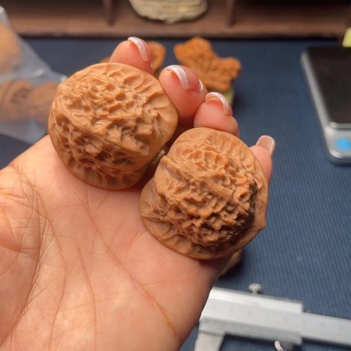 Q***核桃38瓷娃娃全品