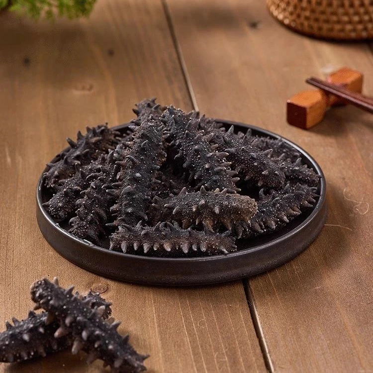 【4大盒赠1试吃+1泡发瓶】国标特级冷水速发高品质海参刺参  干