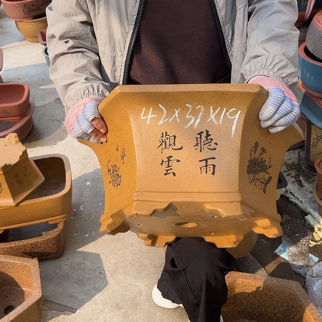 紫砂花盆盆景艺术