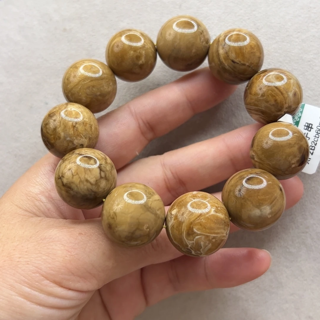 琥珀未镶嵌珠宝奇石21+