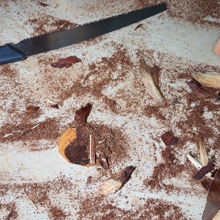 南***0木海南，海北飞灰尘。甘受商于仪诳楚