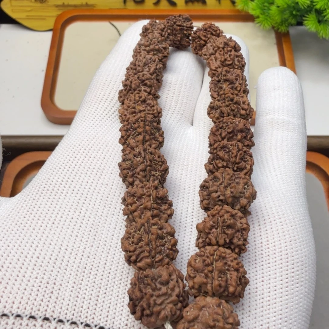 星****金刚菩提吊坠13➕野生籽超头定制莲花樽