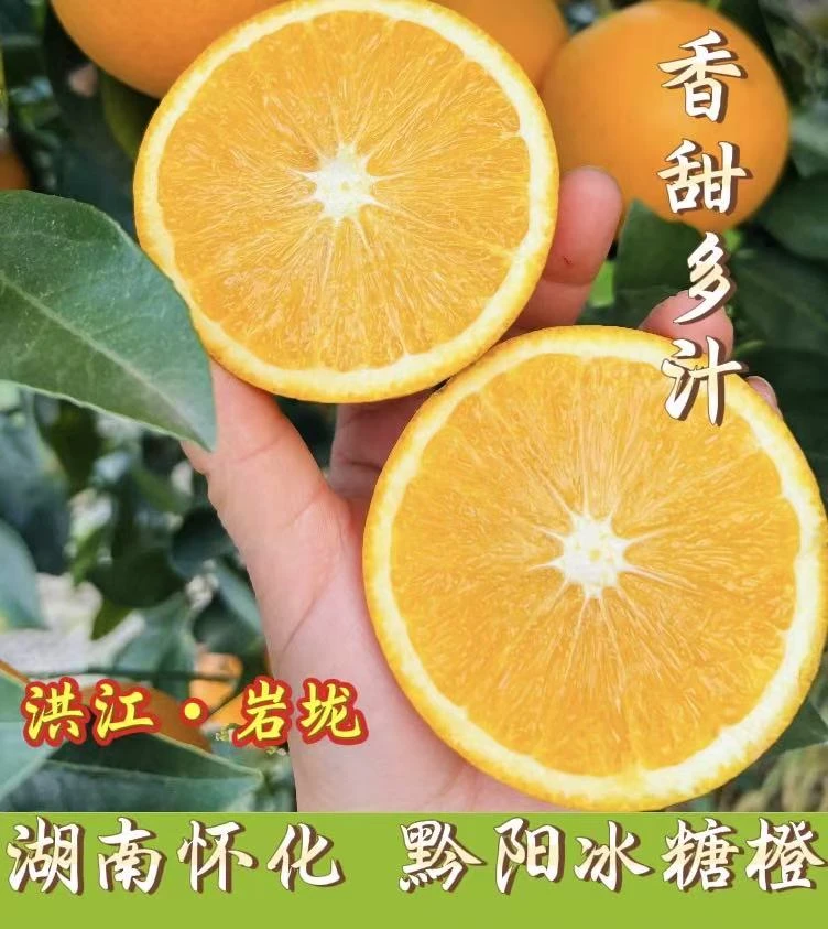 湖南怀化黔阳冰糖橙当季新鲜水果现摘手剥清甜多汁产地直发