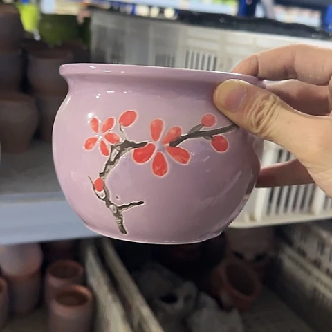 ·当场直播凑9元发·慎拍·8015