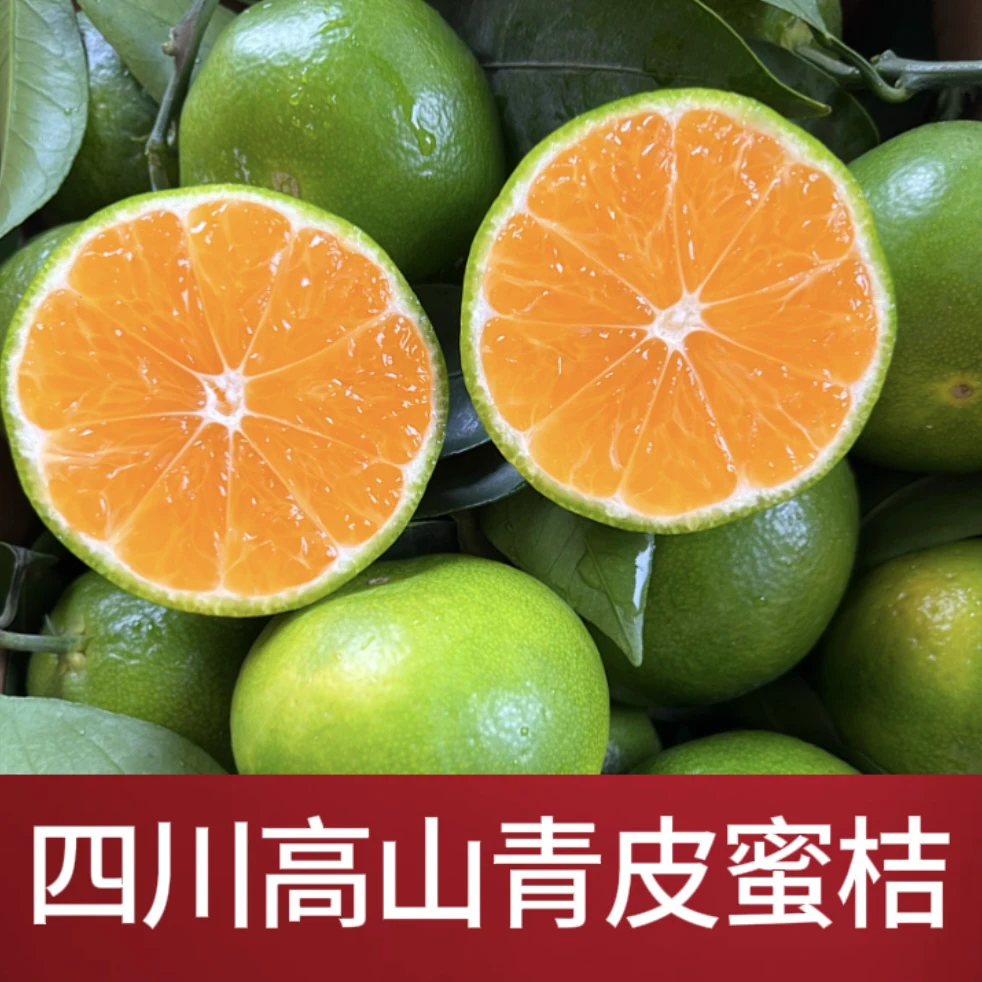 现摘青皮无籽蜜橘酸甜多汁应季新鲜水果