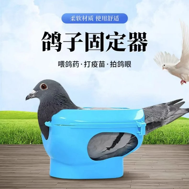 鸽子专用草编巢窝孵蛋下蛋防侧翻家用信鸽用品