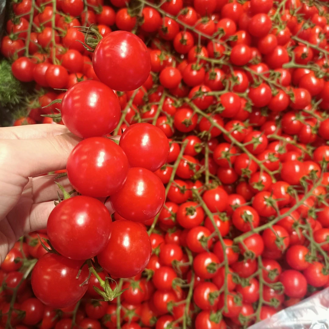 【釜山88】小番茄酸甜可口