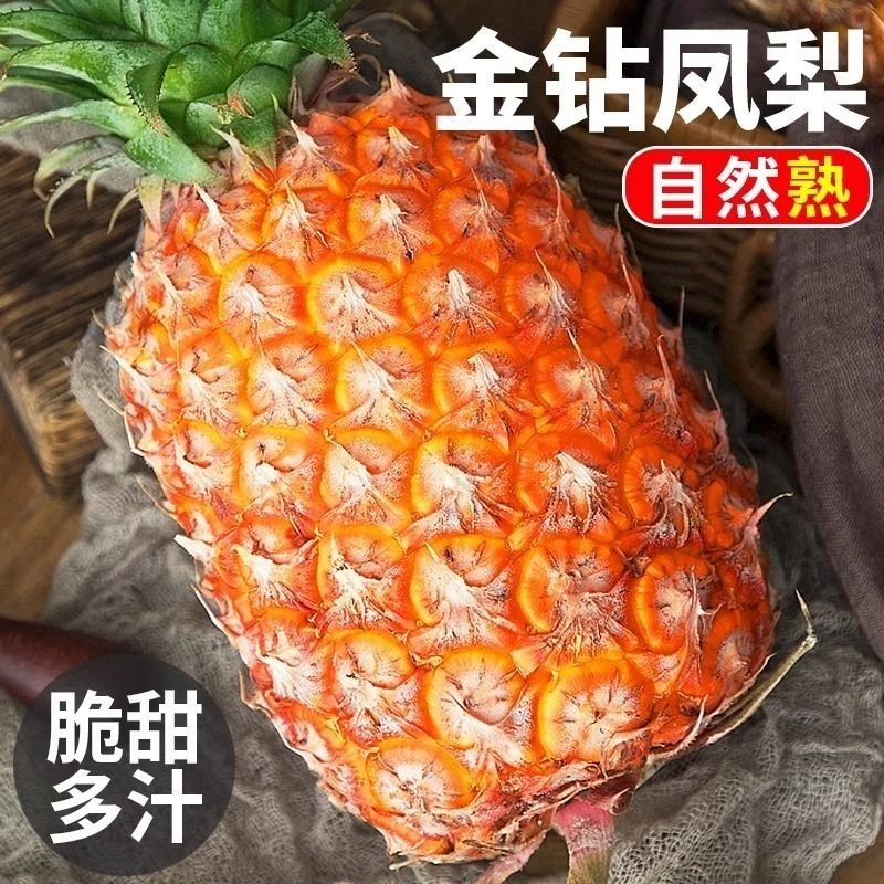 海南金钻凤梨新鲜现摘南方应季水果孕妇手撕无眼菠萝17号大果