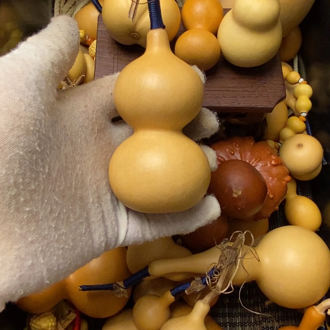 lllllllllllll一物一拍027