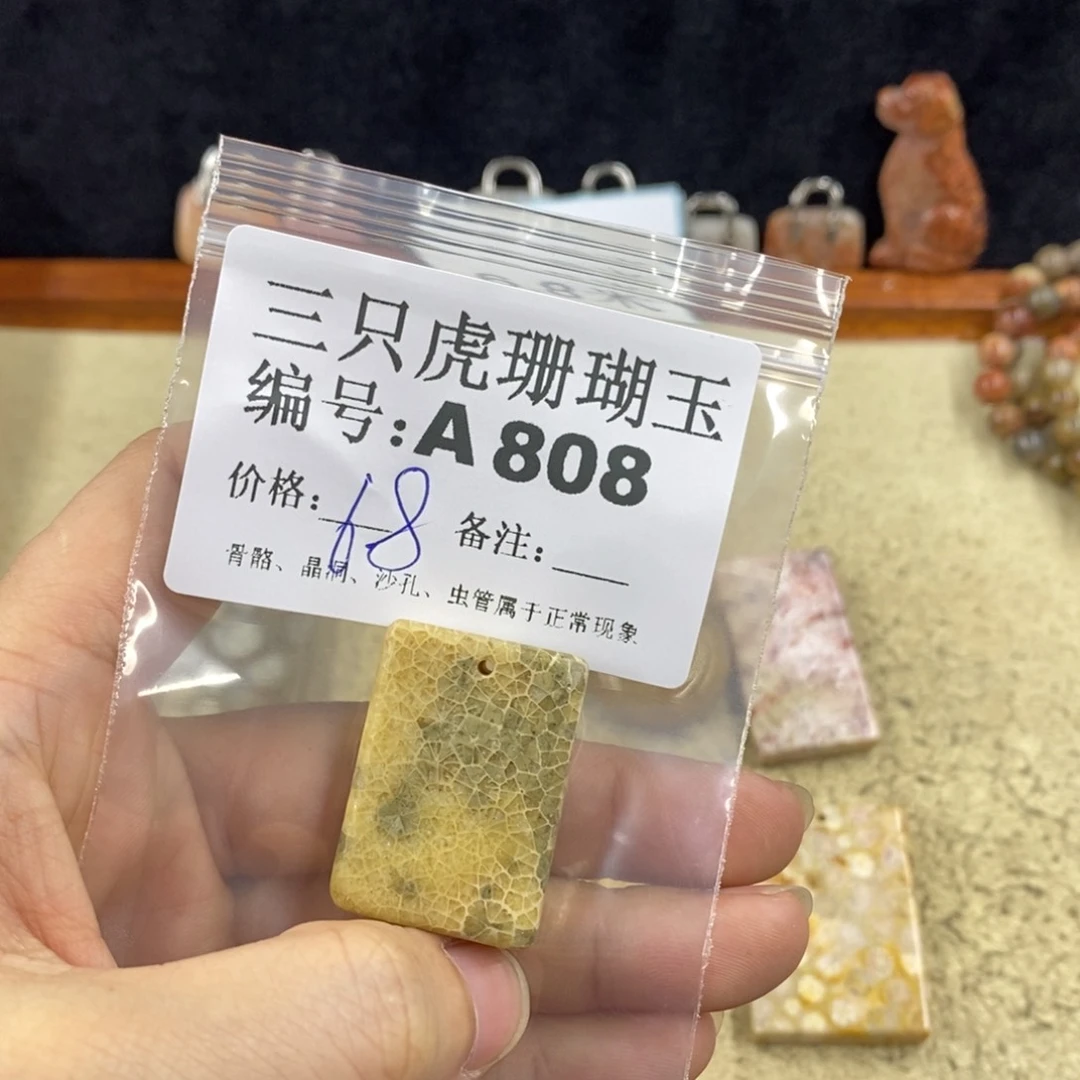 硅化珊瑚（珊瑚玉）1未镶嵌?****?