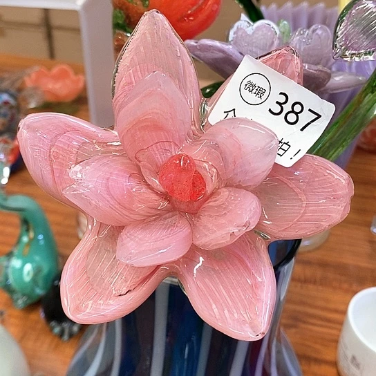云***朵夜光花高45厘米宽12厘米