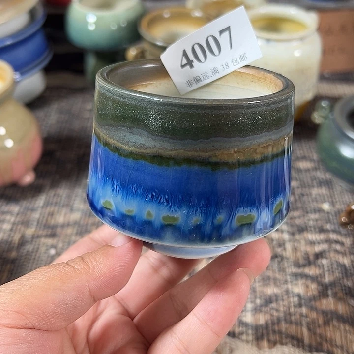 口6 手工花盆福利多多