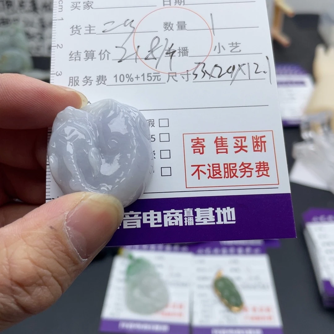 翡翠颈饰未镶嵌貔貅