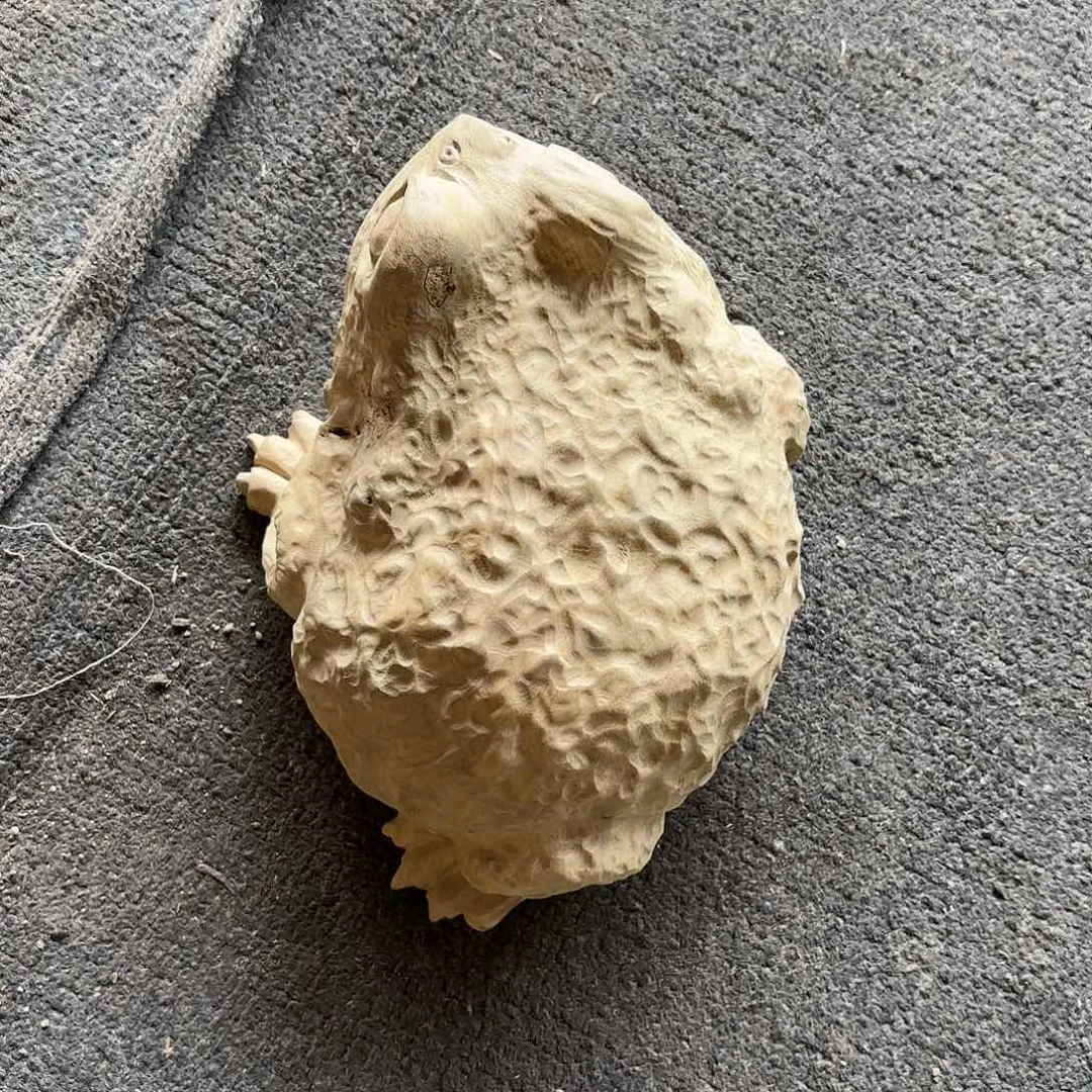 金丝楠?****?金丝楠木阴沉木