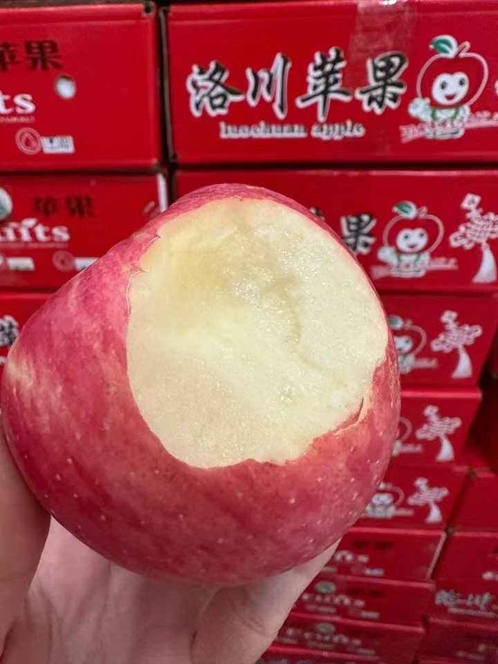 正宗洛川红富士苹果香甜多汁