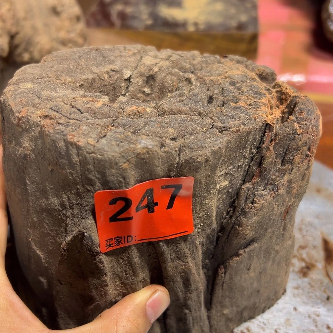 大果紫檀（缅甸花梨）