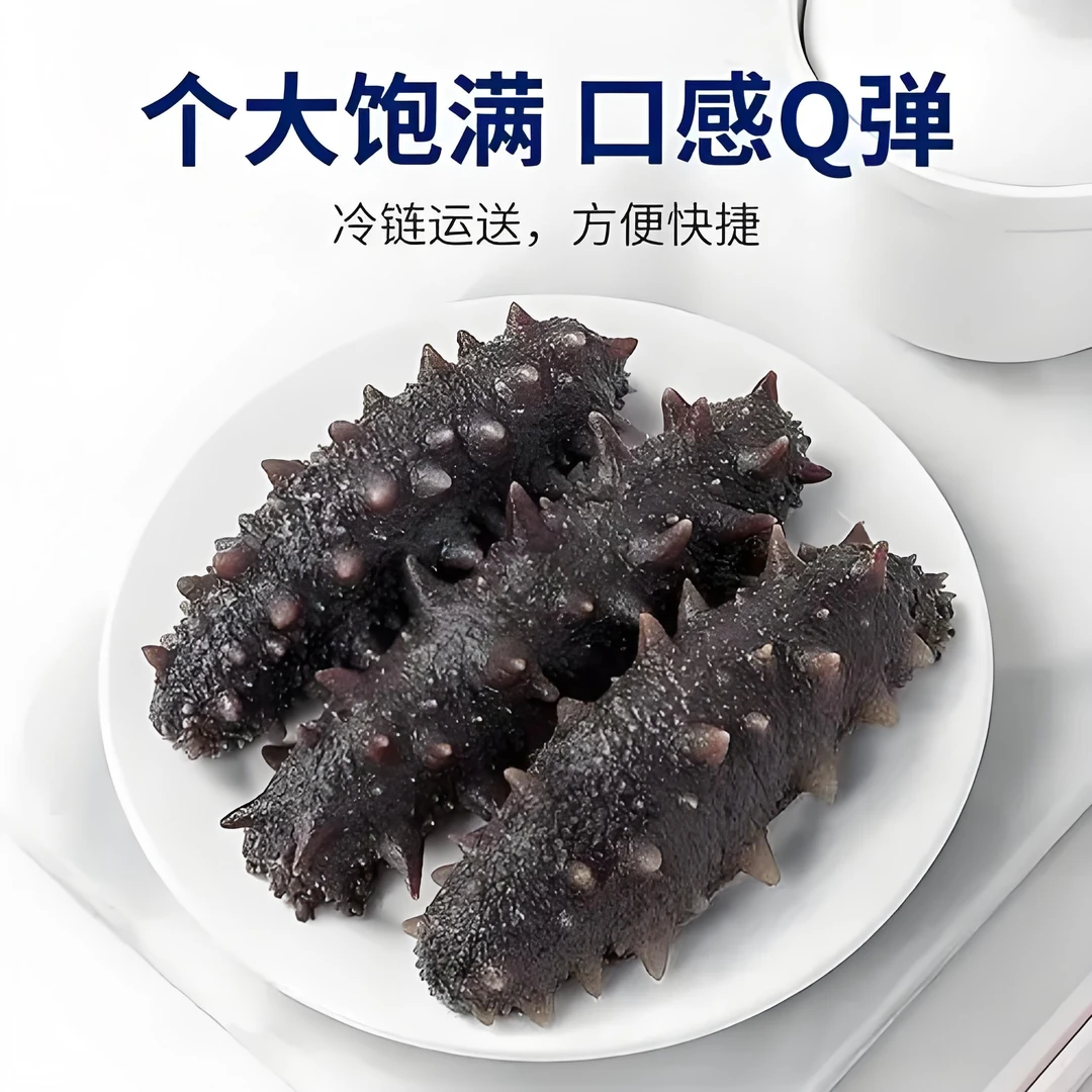 江苏连云港 即食海参 十只装500克