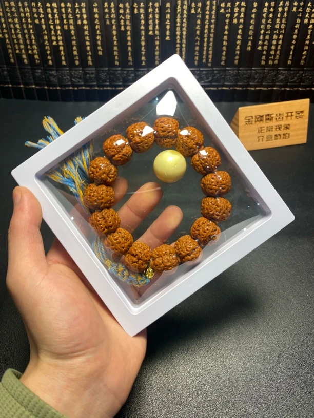 严选满肉梅花蜂王：4号