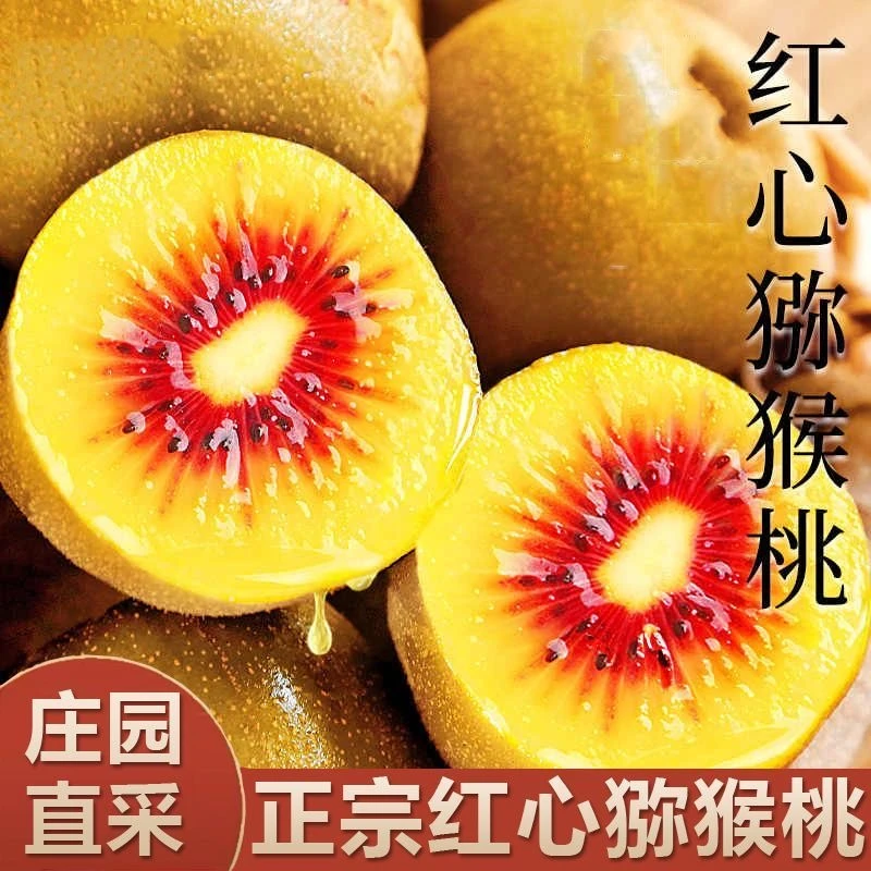 【顺丰包邮】正宗湖南湘西凤凰古城红心猕猴桃大奇异果应季新鲜水果90g-130g精品大果【真的好甜】今年新果湖南省