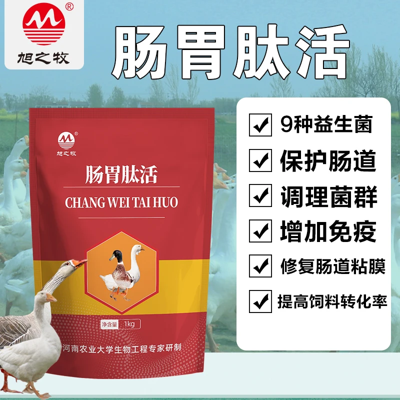 肠胃肽活饲料添加剂肠道活菌黑便