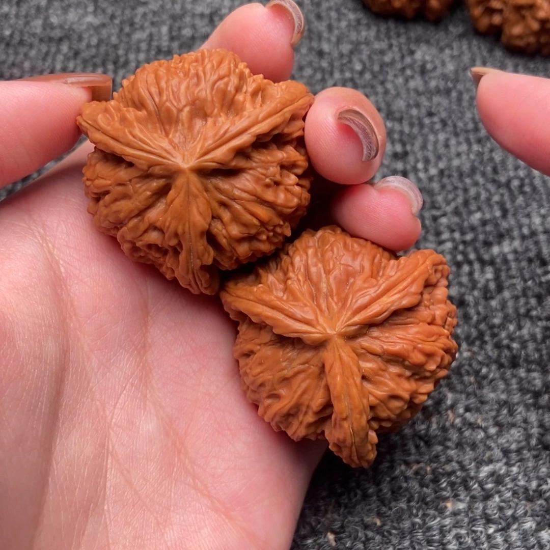 木质类白狮子正奔
