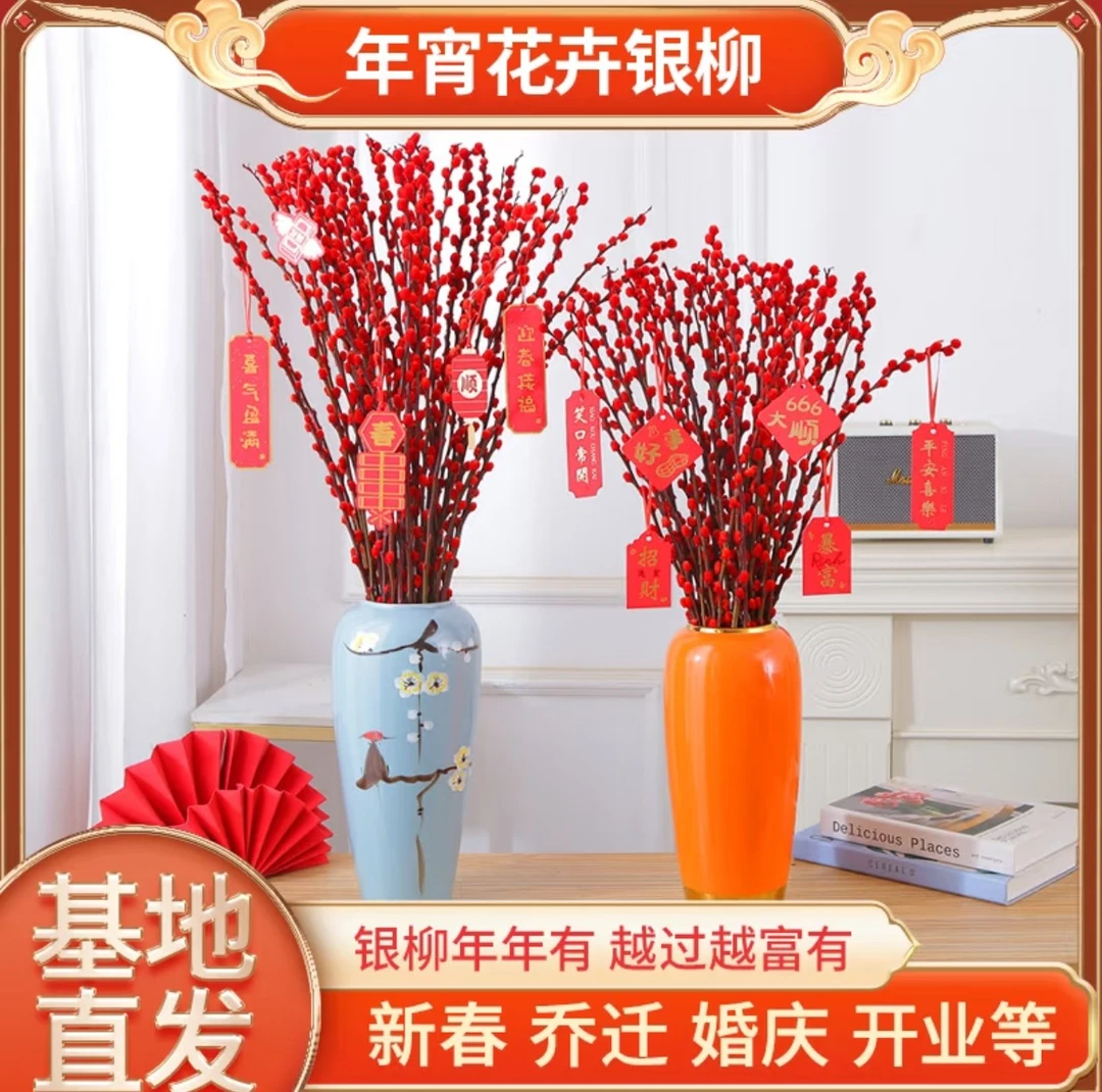招财银柳真花鲜枝红色干花水培植物客厅室内装饰年宵花卉