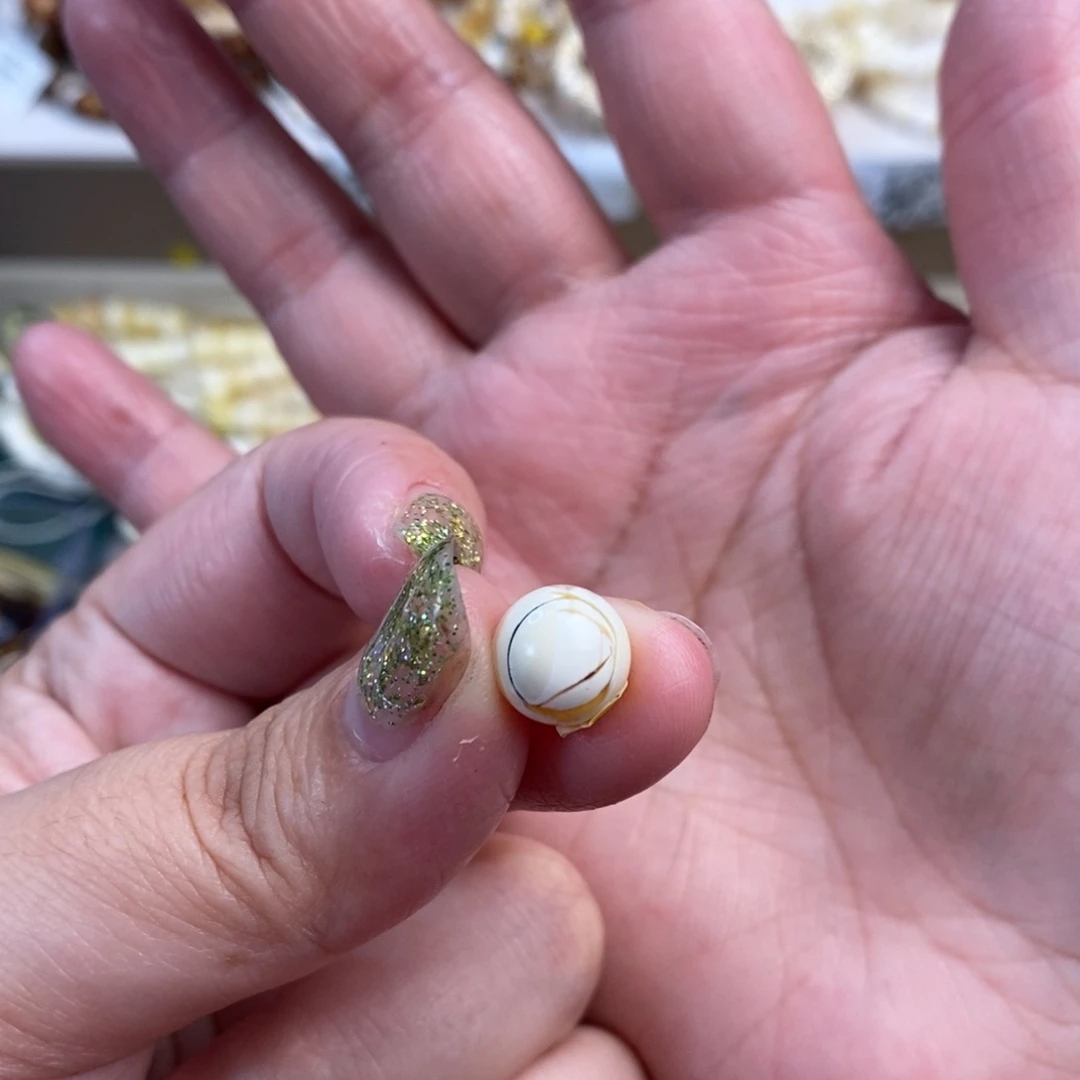 未镶嵌琥珀裸石瓷白圆珠9.2