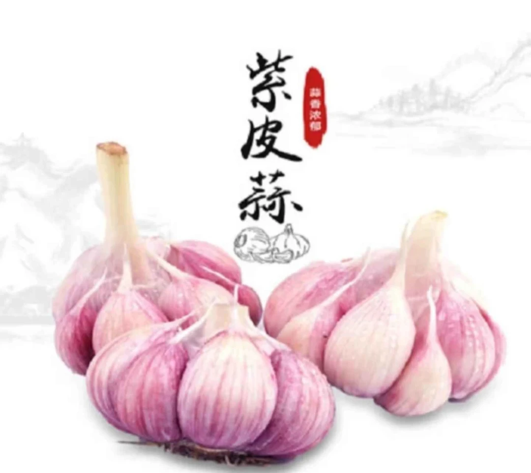 (助农特惠)2025新蒜大果可做腊八蒜糖醋蒜助农特惠价kk