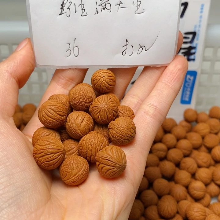 桃核手串?****?14mm左右野生满天星36颗（打孔）